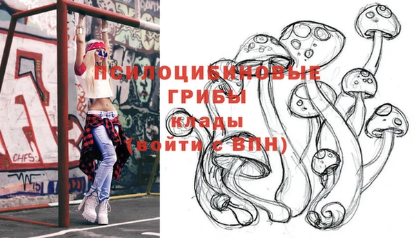 гашик Бронницы