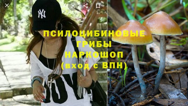 ГАЛЛЮЦИНОГЕННЫЕ ГРИБЫ Богородицк