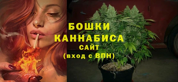 гашик Бронницы