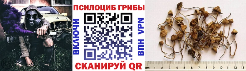 мега вход  Верхний Тагил  Псилоцибиновые грибы MAGIC MUSHROOMS  купить наркоту 